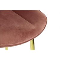STEMA - Krzesło HTS-6020 | Pudrowy róż | Nogi złote