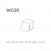 LAYMAN - BRIKS WG30 | Moduł poziomy z frontem | Otwierany w górę