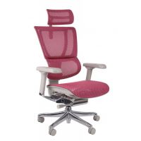 GROSPOL - IOO 2 Fotel Obrotowy GS Pink | Szary Stelaż | Różowa Siatka | Mechanizm Drift Tilt | Podłokietnik 5D | Zgodny z Rozporządzeniem z 2023 roku