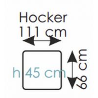 AEK - ROMA HOCKER - PUFA