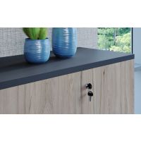 AMS Meble Biurowe - Szafa Aktowa RG9 P/L | 5OH | 60x60x184h