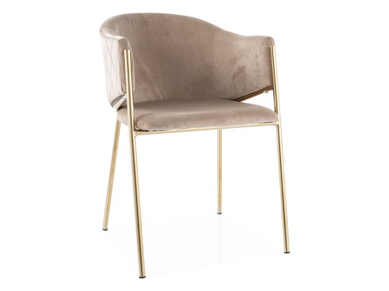 SIGNAL - BONO Velvet Krzesło | Tkanina Bluvel Beż 28 | Stelaż metal kolor złoty